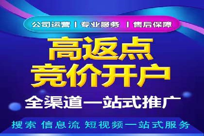 SEM推广代运营公司：实战案例解析